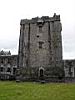 Irlande, Co Galway, Kinvara, Chateau de Dunguaire, Donjon (1)